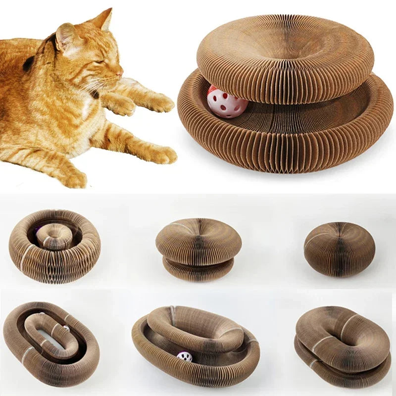 Cats Interactive Toy