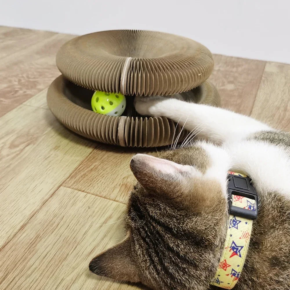 Cats Interactive Toy